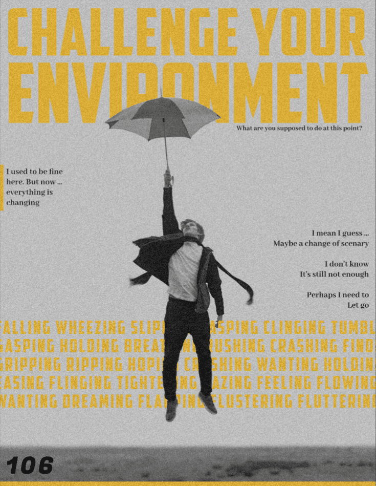Poster 35